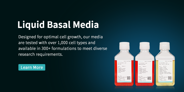 Liquid Basal Media