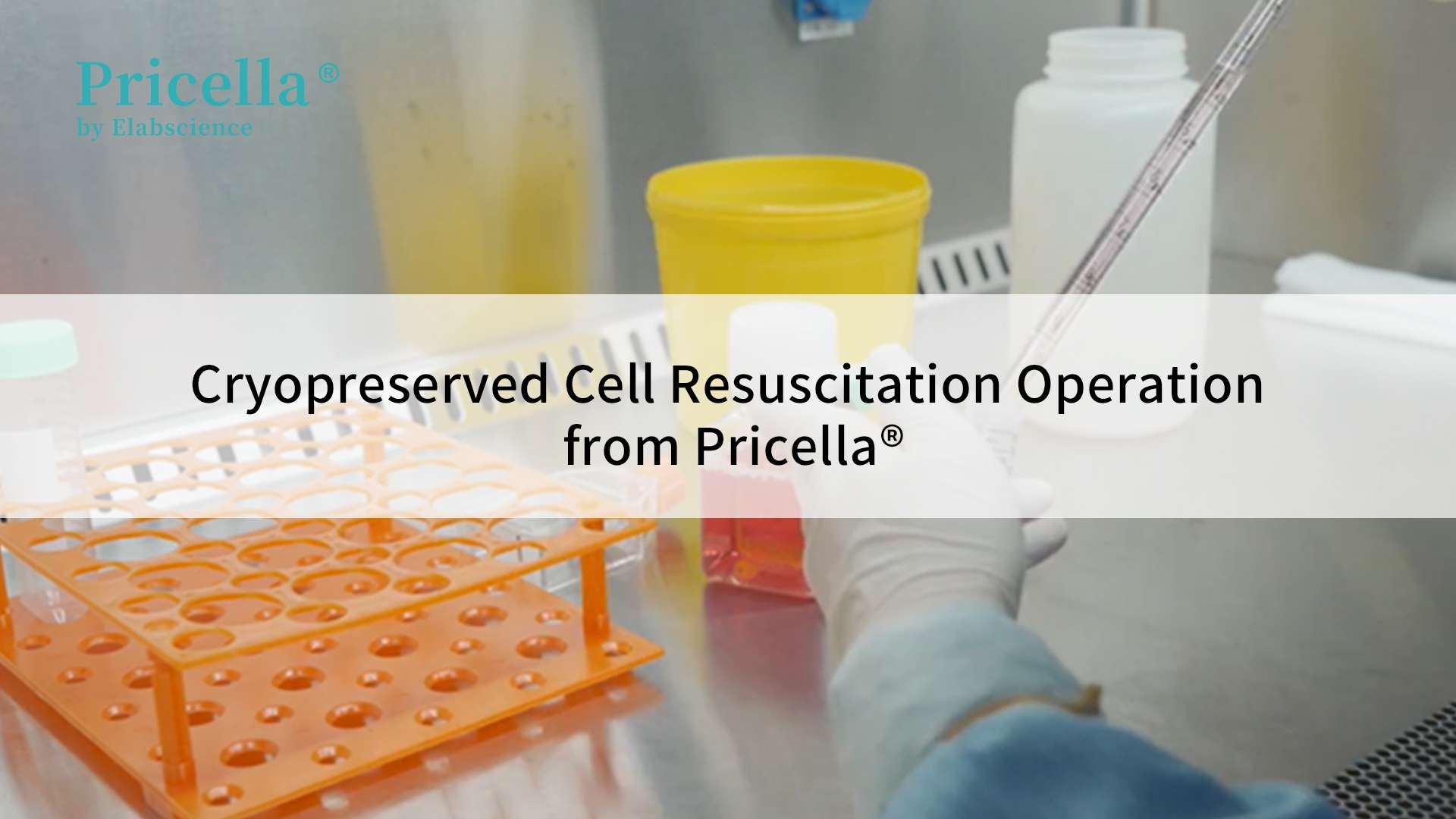 Cryopreserved Cell Resuscitation Operation from Pricella - cover