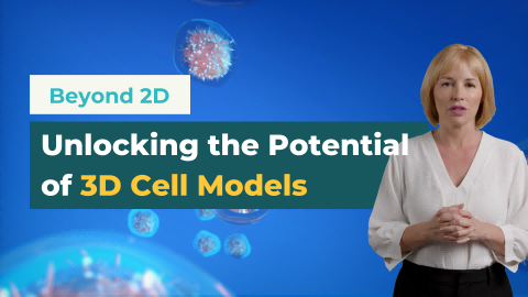 Beyond 2D | Unlocking the Potential of 3D Cell Models - cover