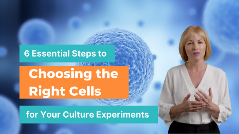 6 Essential Steps to Choosing the Right Cells for Your Culture Experiments - cover