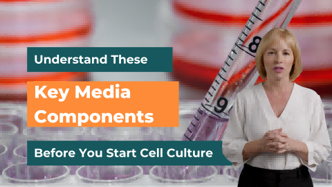 Understand These Key Media Components Before You Start Cell Culture! - cover