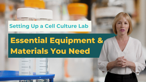 Setting Up a Cell Culture Lab: Essential Equipment & Materials You Need - cover