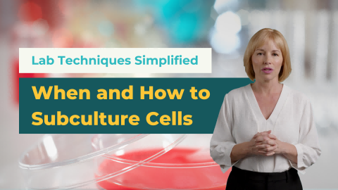When and How to Subculture Cells | Lab Techniques Simplified - cover