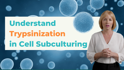 Understanding Trypsinization in Cell Subculturing - cover