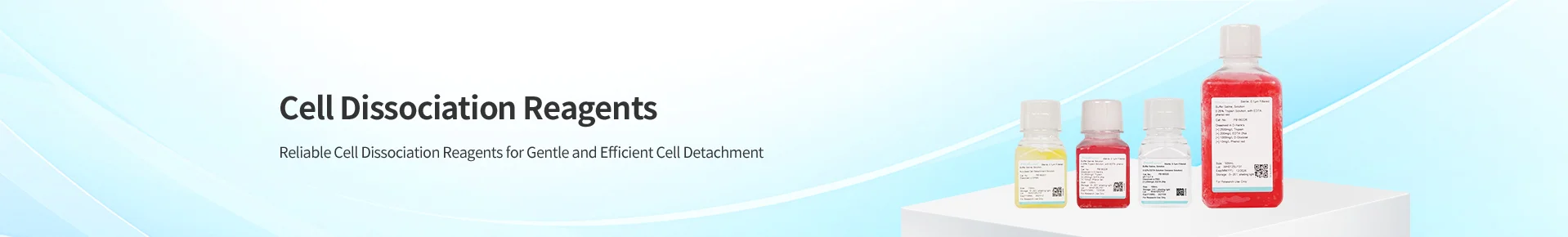 Cell Dissociation Reagents