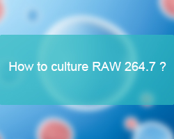 Can't culture RAW 264.7 well? These tips are ignored. - cover