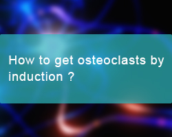 How to get osteoclasts by different induction methods? - cover