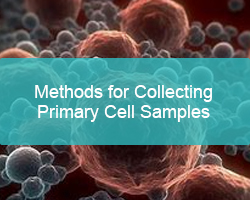 Methods for Collecting Primary Cell Samples - cover