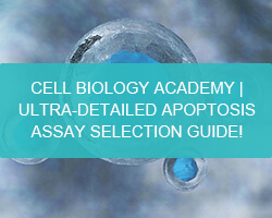 CELL BIOLOGY ACADEMY | ULTRA-DETAILED APOPTOSIS ASSAY SELECTION GUIDE! - cover