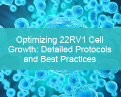 Optimizing 22RV1 Cell Growth: Detailed Protocols and Best Practices - cover