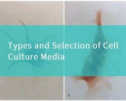 Types and Selection of Cell Culture Media - cover