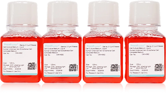 Ready-to-Use Complete Cell Culture Media