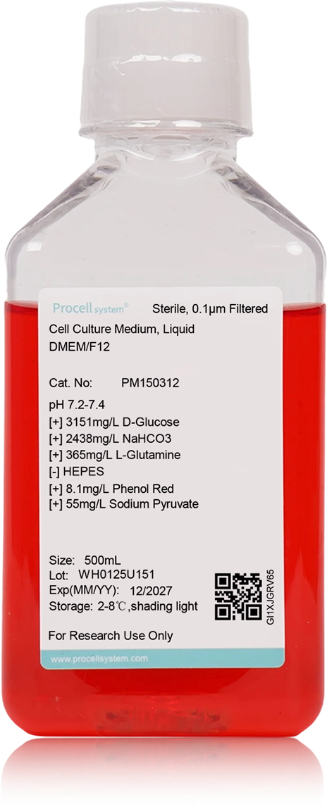 DMEM/F12