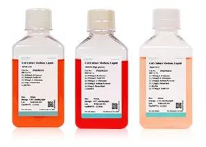 Cell Culture Media