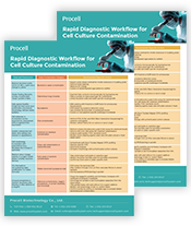 Rapid Diagnostic Workflow for Cell Culture Contamination