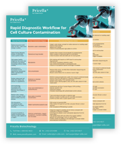 Rapid Diagnostic Workflow for Cell Culture Contamination
