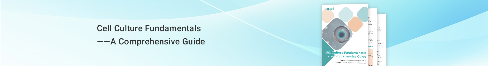 Cell Culture Fundamentals - A Comprehensive Guide