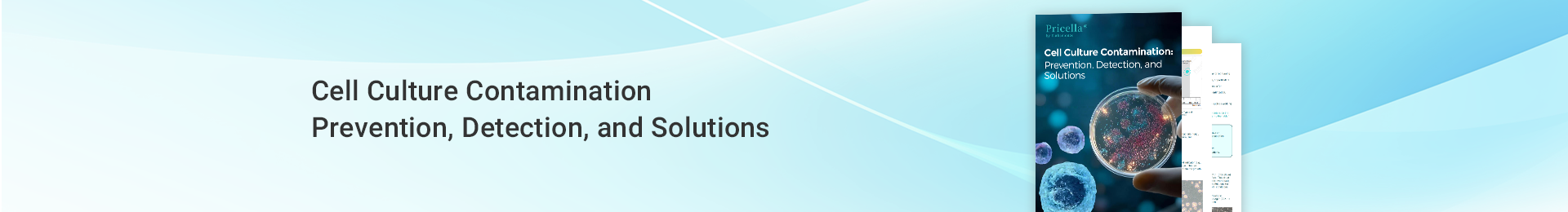 Cell Culture Contamination