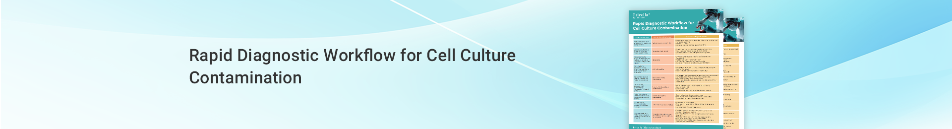 Rapid Diagnostic Workflow for Cell Culture Contamination