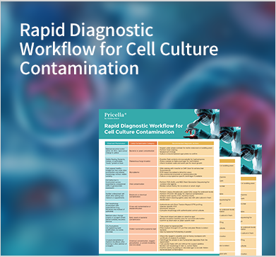 Rapid Diagnostic Workflow for Cell Culture Contamination