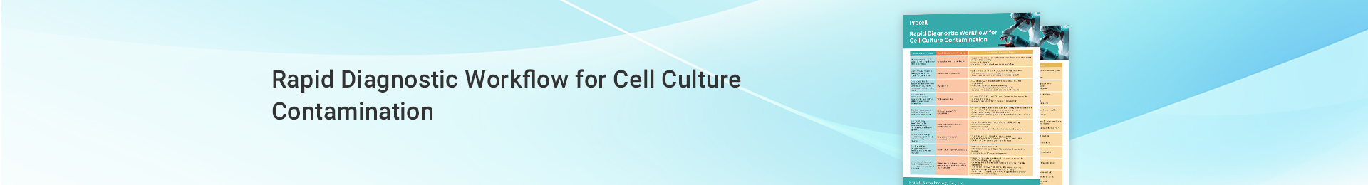 Rapid Diagnostic Workflow for Cell Culture Contamination