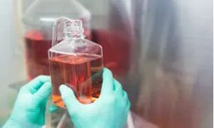 Cell Culture Media