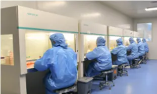 Cell Culture Reagents