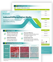 Induced Differentiation Media (2601)