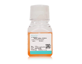 Cell Dissociation Reagents